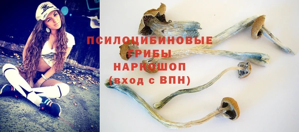ГАЛЛЮЦИНОГЕННЫЕ ГРИБЫ Абаза