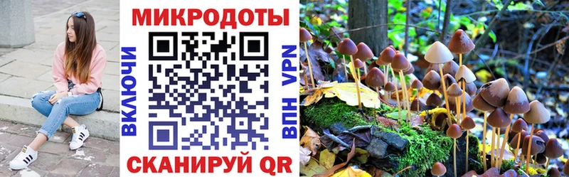 цены   Шарыпово  Псилоцибиновые грибы Magic Shrooms 