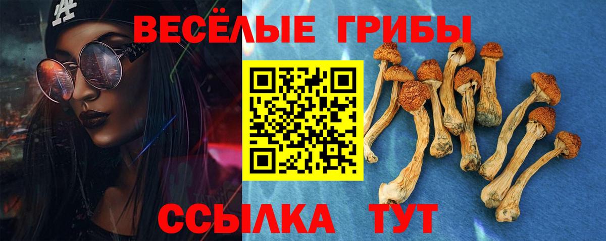 Псилоцибиновые грибы Cubensis Шарыпово