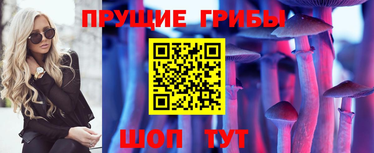 Галлюциногенные грибы мицелий  Псилоцибиновые грибы мицелий  Вход с VPN  закладка  Шарыпово 