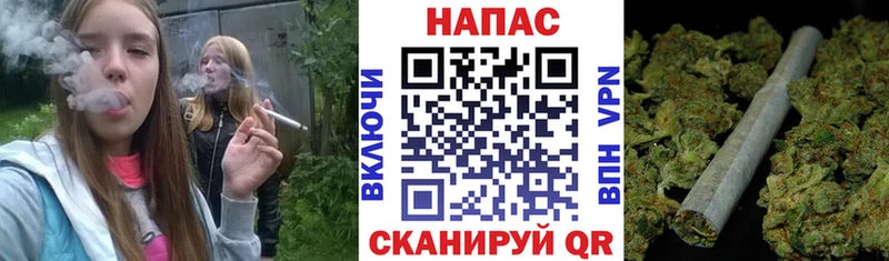 Шишки марихуана планчик  цены наркотик  Шарыпово 