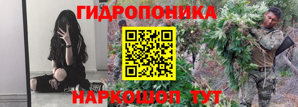 Бошки марихуана SATIVA & INDICA  Бошки Шишки семена  Каннабис гибрид  Вход с VPN  Шарыпово 